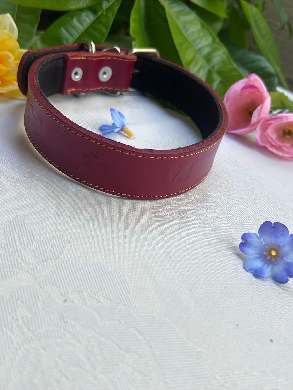 Leather Dog Collar Burgundy Red Adjustable 15-21